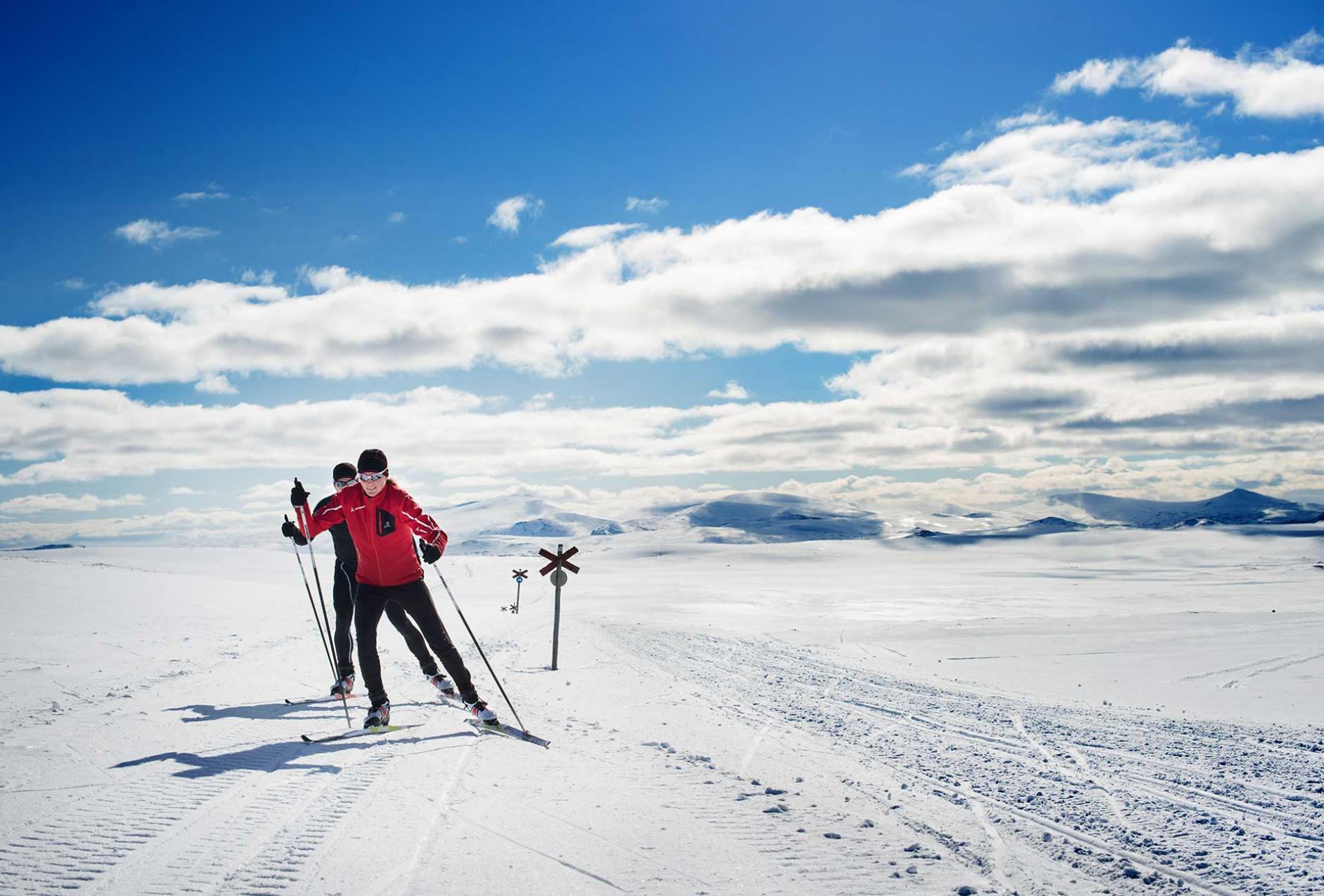 Top Cross-Country skiing