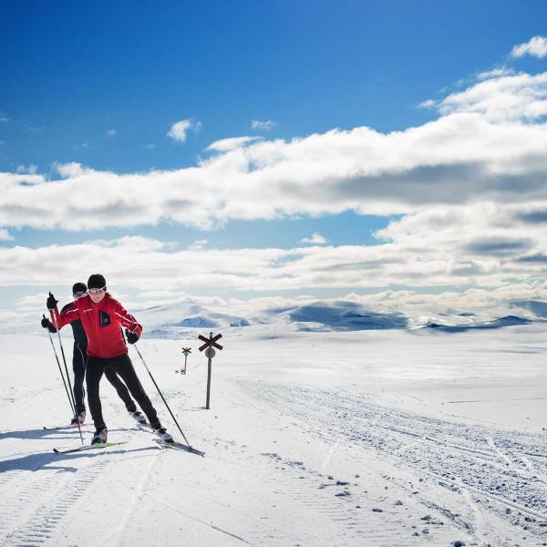 Top Cross-Country skiing